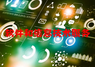 软件和信息技术服务行业运行态势与竞争格局分析——聚焦信息技术咨询服务